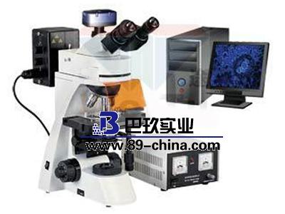 BM-11-2數碼簡易偏光顯微鏡(裝置）