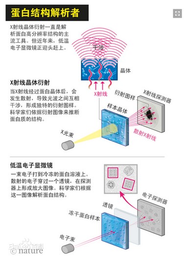 桌面單粒子低溫電子顯微鏡-蛋白結(jié)構(gòu)解析